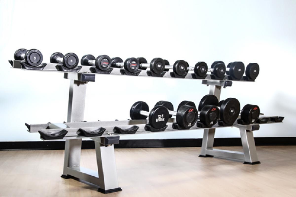 Gym barbells for online sale