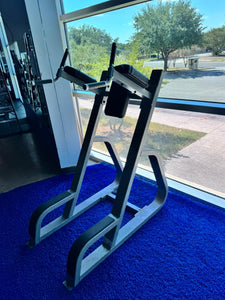 Precor Vertical Knee Raise - CW-702