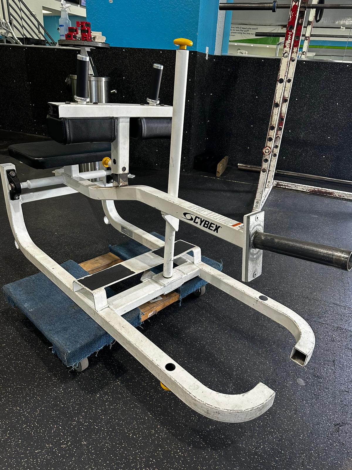 Cybex machines best sale for sale