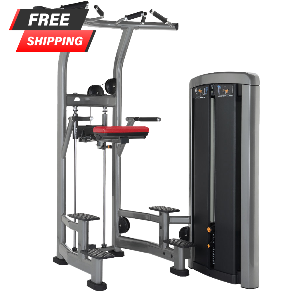 Life Fitness Insignia Series Assist Dip Chin Buy Sell Fitness